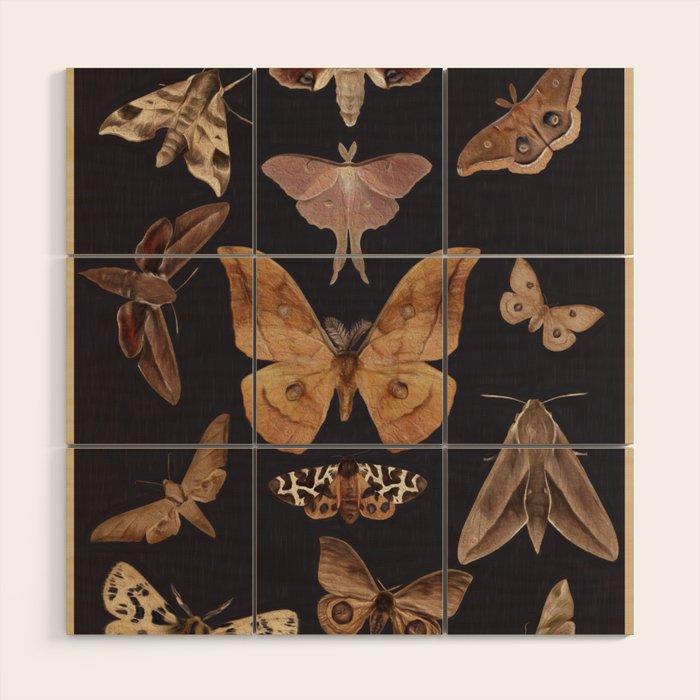 Night butterflies 2 Wood Wall Art Gallery Image 1