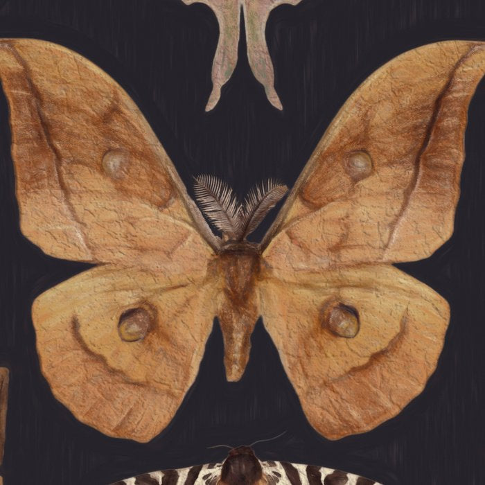 Night butterflies 2 Coffee Mug Gallery Image 2
