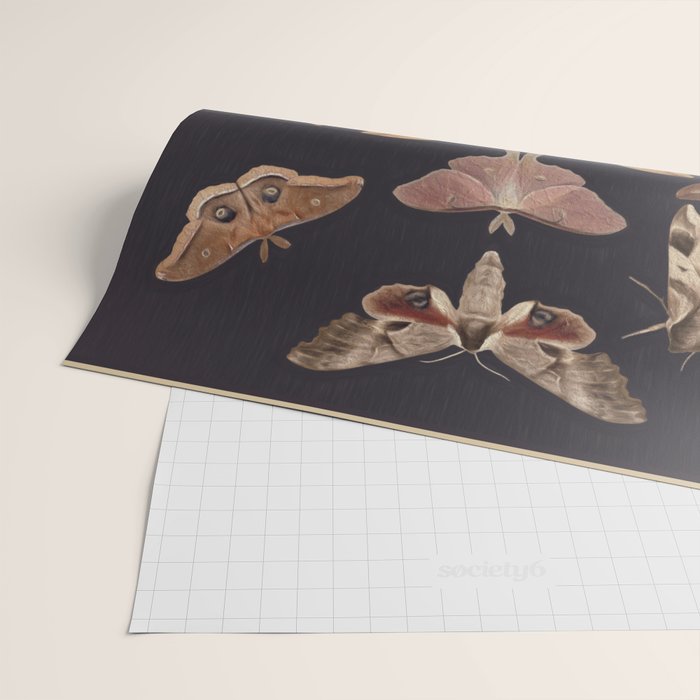 Night butterflies 2 Wrapping Paper Gallery Image 2