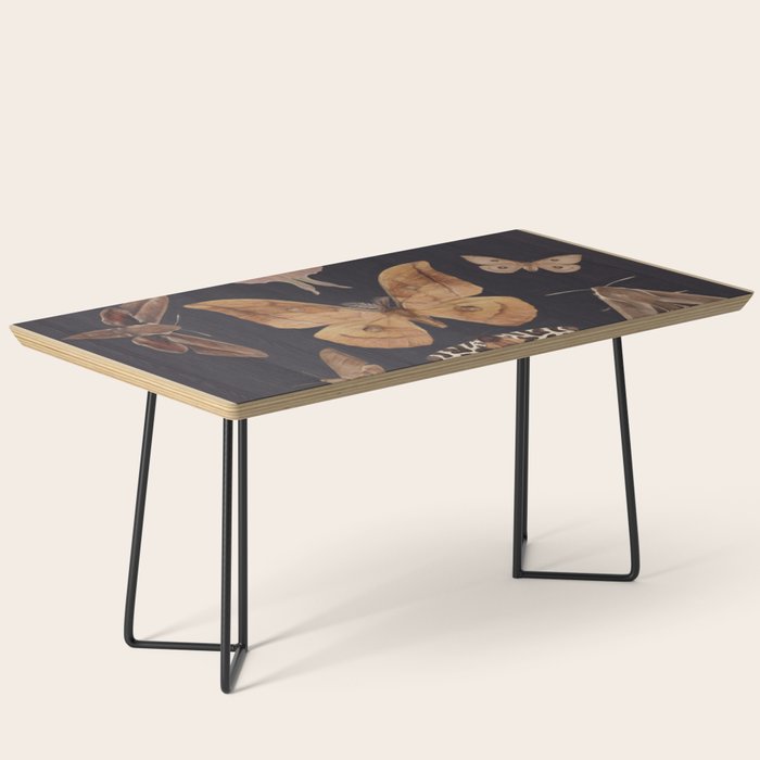 Night butterflies 2 Coffee Table Gallery Image 1