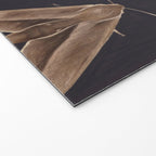 Night butterflies 2 Welcome Mat Gallery Image 2