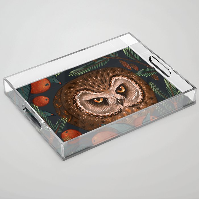 Rockefeller Owl Acrylic Tray Gallery Image 1