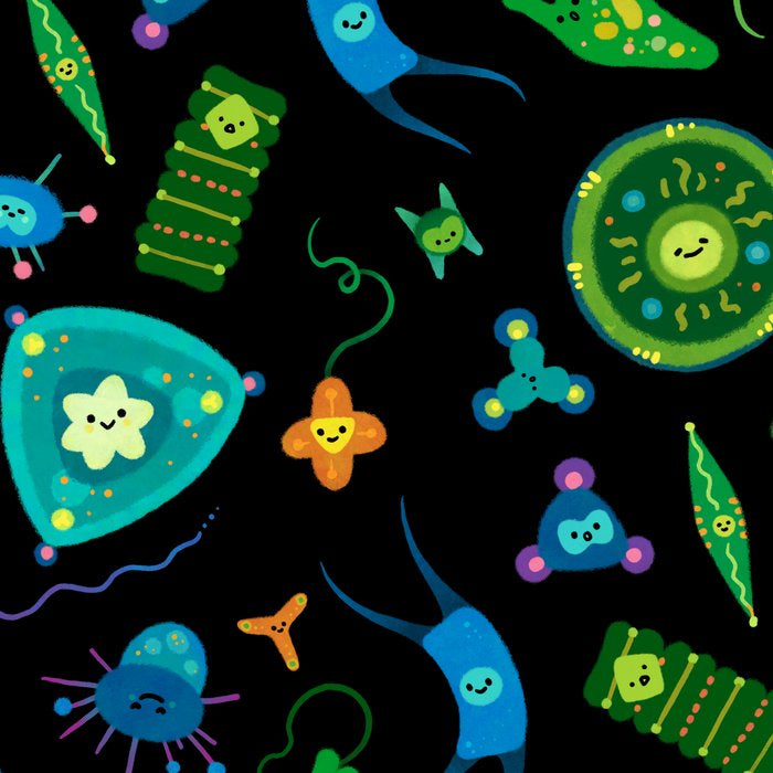 Phytoplankton Coffee Mug Gallery Image 2