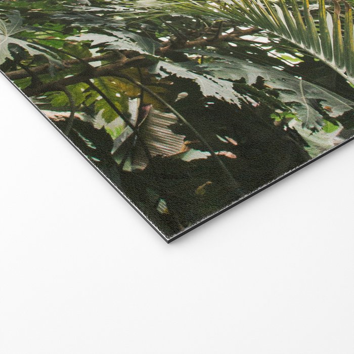Tropical Greenhouse #1 Welcome Mat Gallery Image 2