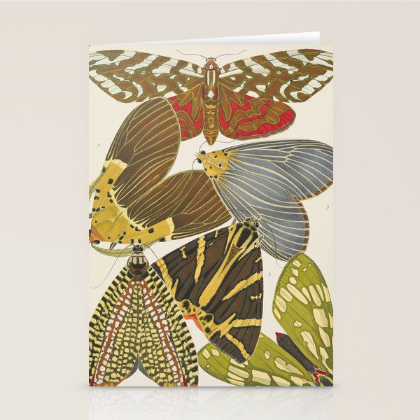 Moth Print by E.A. Seguy, 1925 #5 Stationery Card Gallery Image 1