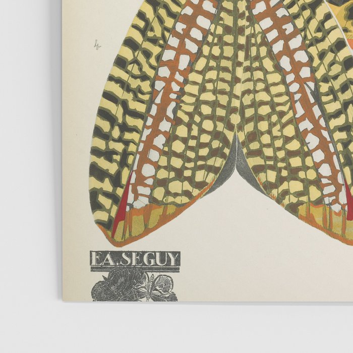 Moth Print by E.A. Seguy, 1925 #5 Poster Gallery Image 3
