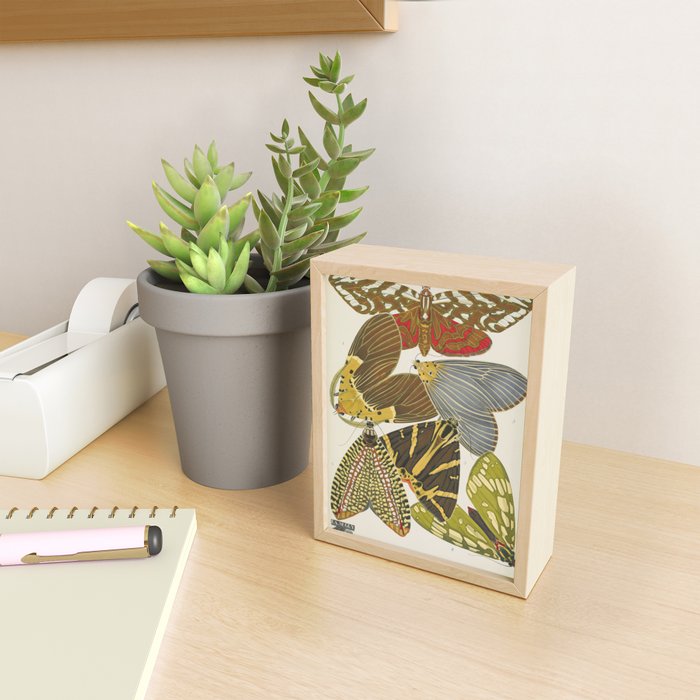 Moth Print by E.A. Seguy, 1925 #5 Mini Art Print Gallery Image 2