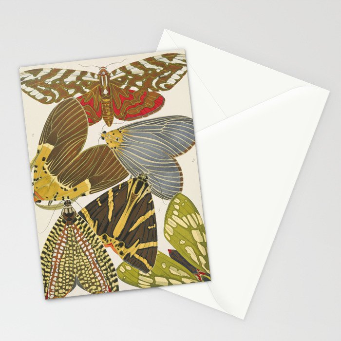 Moth Print by E.A. Seguy, 1925 #5 Stationery Card Gallery Image 2