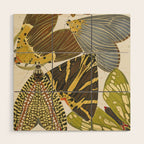 Moth Print by E.A. Seguy, 1925 #5 Wood Wall Art Gallery Image 1