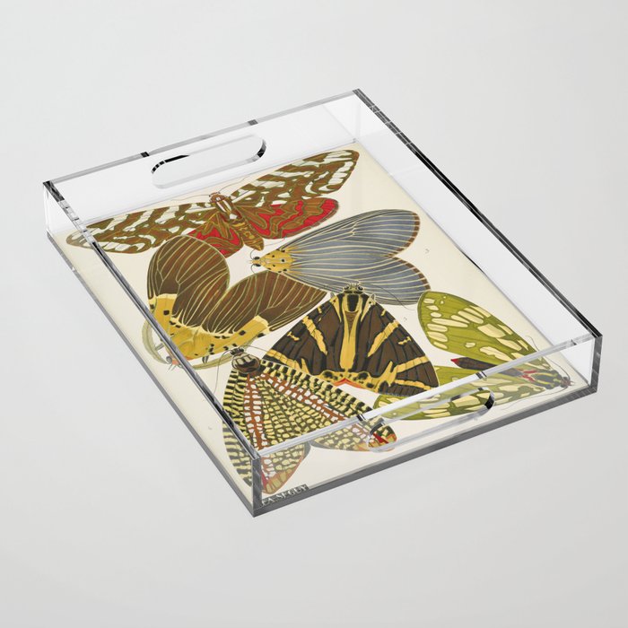 Moth Print by E.A. Seguy, 1925 #5 Acrylic Tray Gallery Image 1