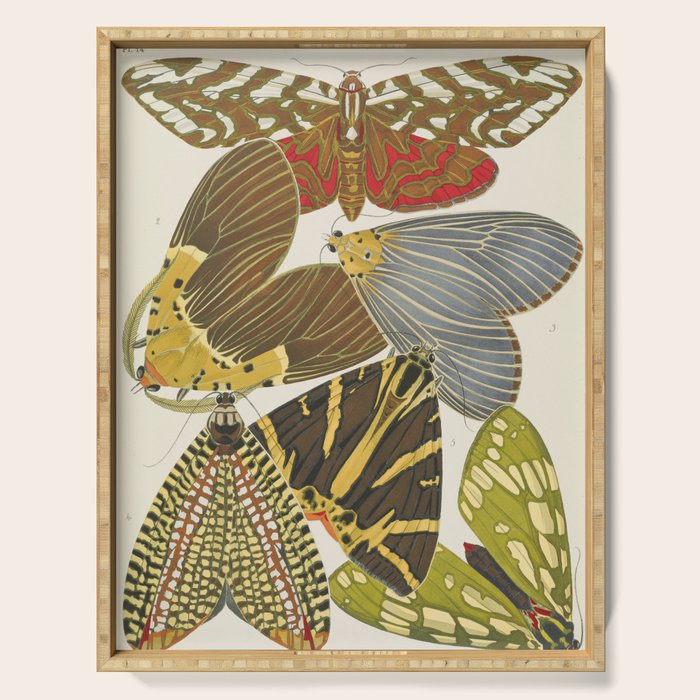 Moth Print by E.A. Seguy, 1925 #5 Serving Tray Gallery Image 1