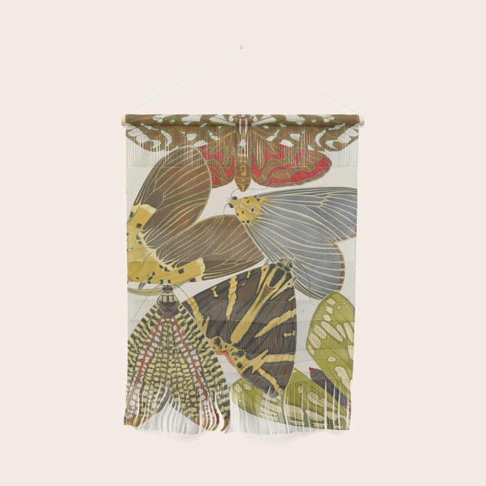 Moth Print by E.A. Seguy, 1925 #5 Wall Hanging Gallery Image 1