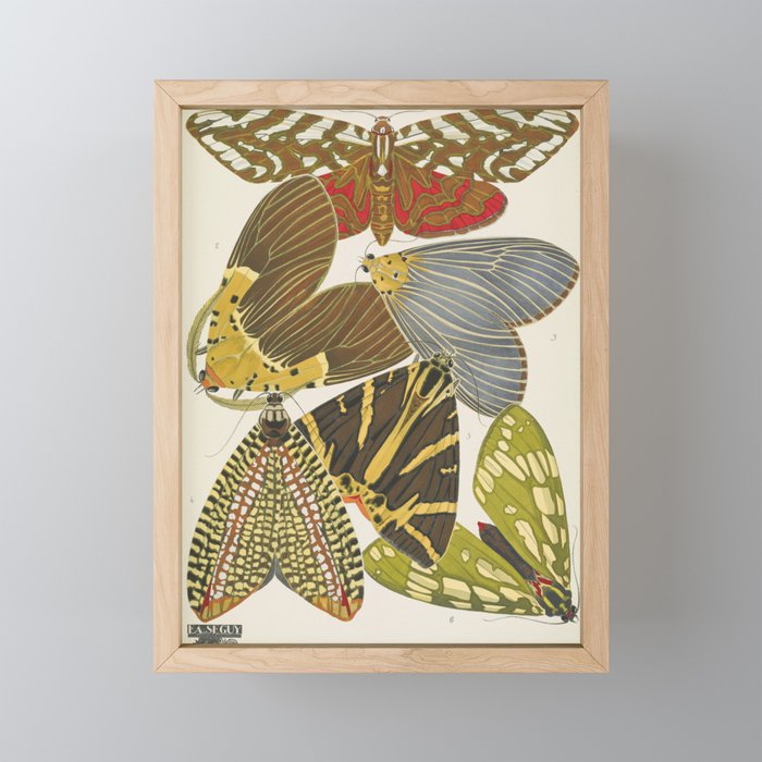 Moth Print by E.A. Seguy, 1925 #5 Mini Art Print Gallery Image 1