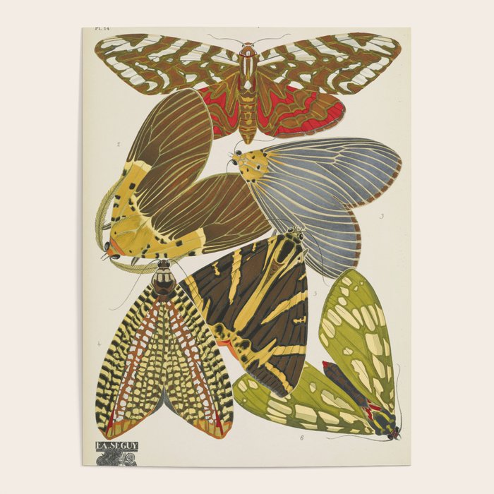 Moth Print by E.A. Seguy, 1925 #5 Poster Gallery Image 4