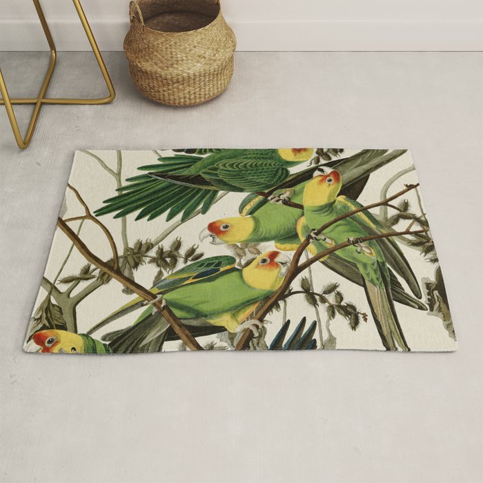 Carolina Parrot - John James Audubon's Birds of America Print Rug Gallery Image 1