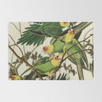Carolina Parrot - John James Audubon's Birds of America Print Rug Gallery Image 2