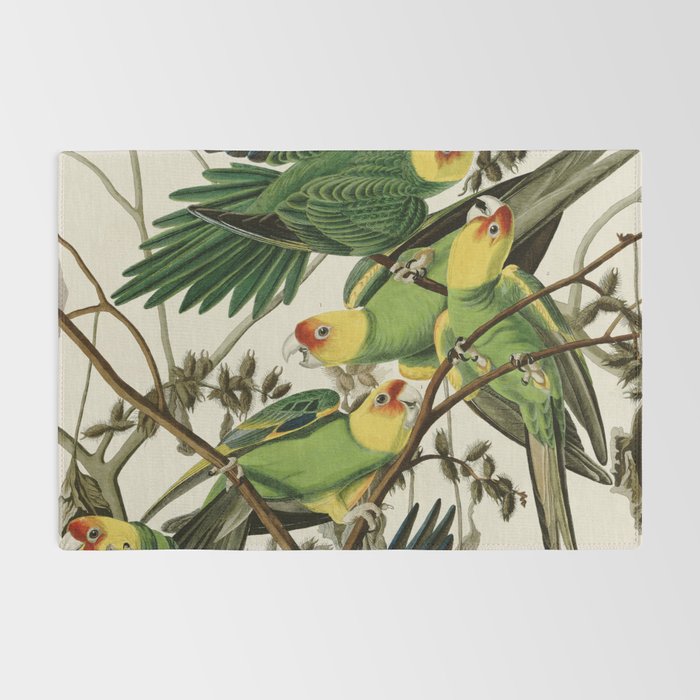 Carolina Parrot - John James Audubon's Birds of America Print Rug Gallery Image 2