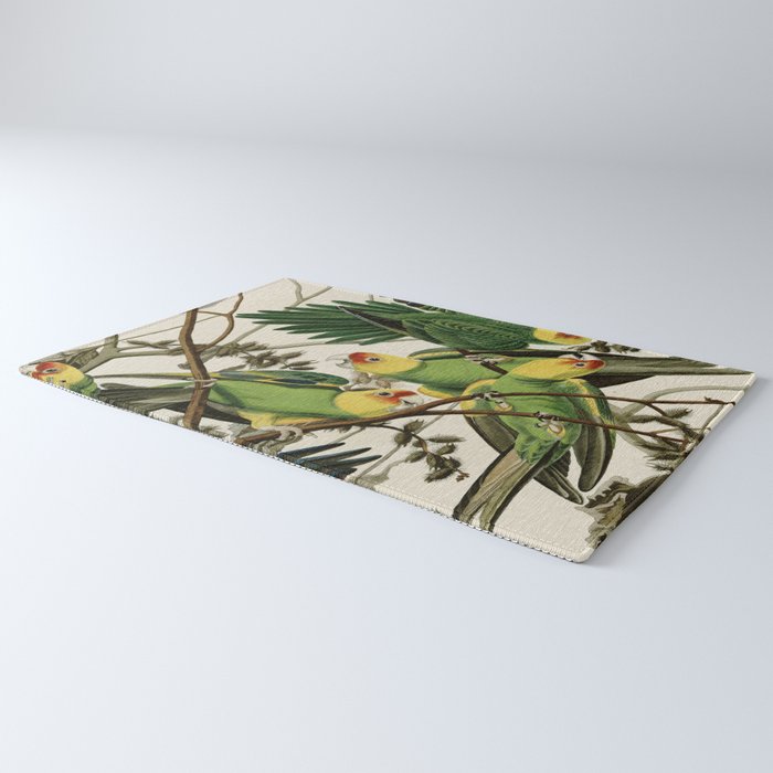 Carolina Parrot - John James Audubon's Birds of America Print Rug Gallery Image 3