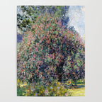 Claude Monet Parc Monceau II Poster Gallery Image 4
