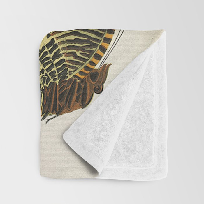 Vintage Butterfly Illustration EA Seguy Papillon Throw Blanket Gallery Image 3
