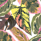 Wild jungle botanical leaves 63 Coffee Mug Gallery Image 2