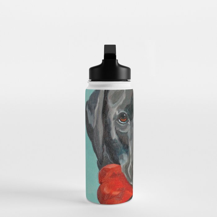 Black Labrador and a Red Bone Water Bottle Gallery Image 3