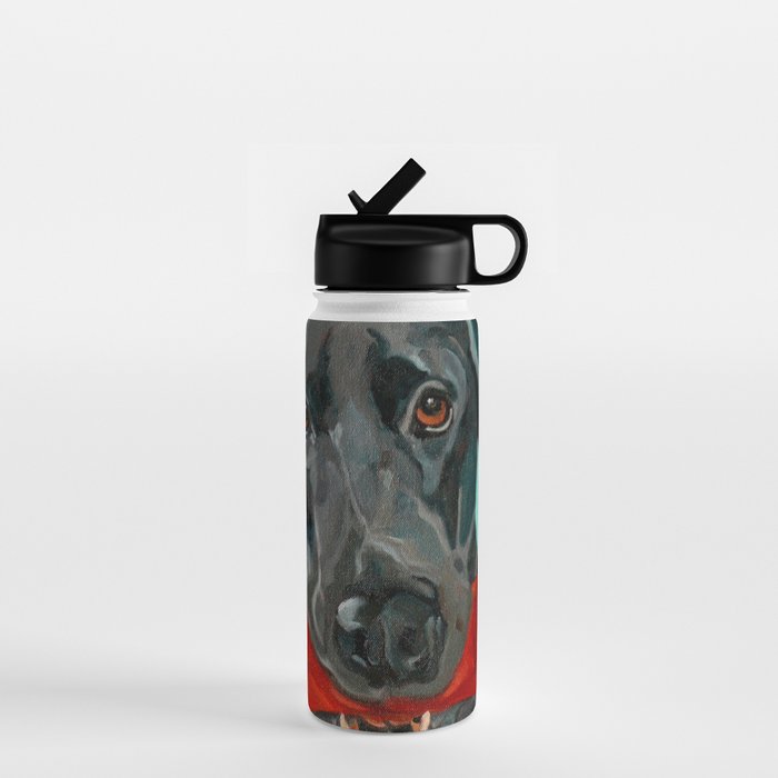 Black Labrador and a Red Bone Water Bottle Gallery Image 1