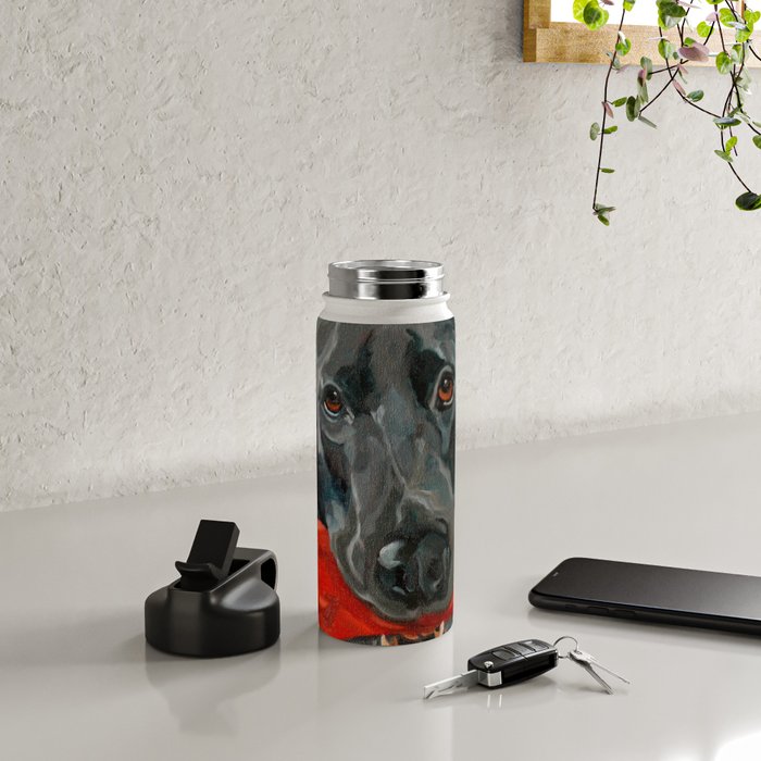 Black Labrador and a Red Bone Water Bottle Gallery Image 4