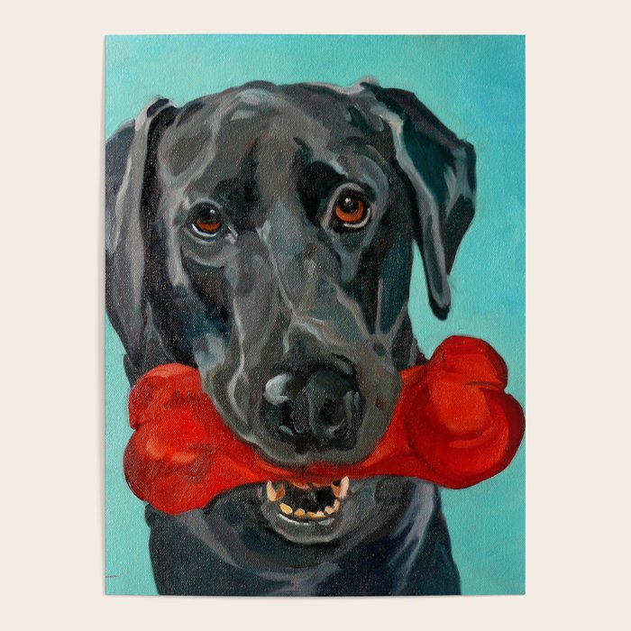 Black Labrador and a Red Bone Poster Gallery Image 1