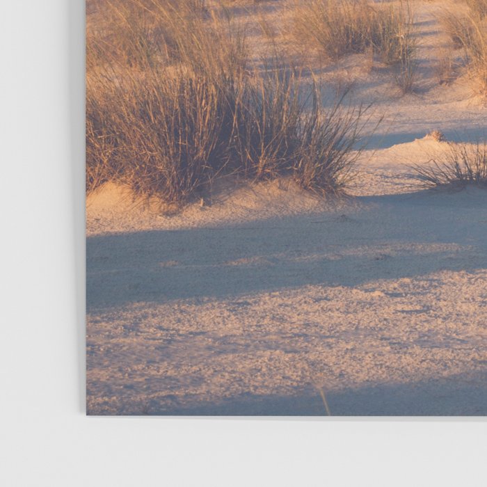 Desert Sunset Poster Gallery Image 3