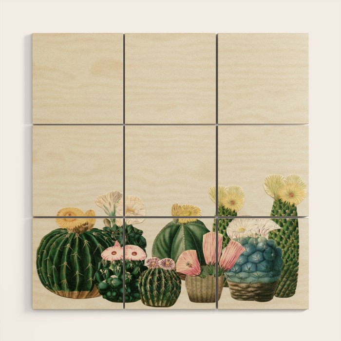 Cactus Garden Wood Wall Art Gallery Image 1