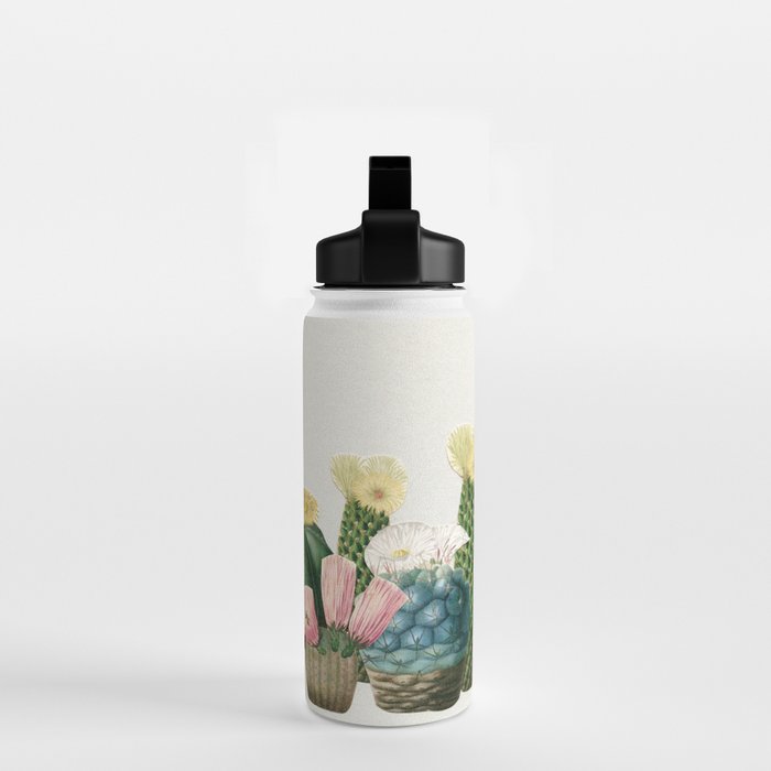Cactus Garden Water Bottle Gallery Image 2