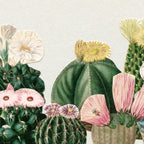 Cactus Garden Coffee Mug Gallery Image 2