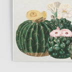 Cactus Garden Poster Gallery Image 3