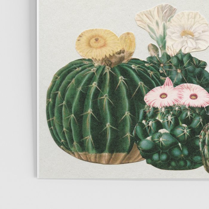 Cactus Garden Poster Gallery Image 3