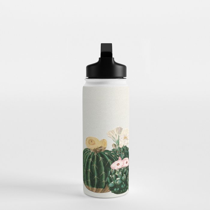 Cactus Garden Water Bottle Gallery Image 3