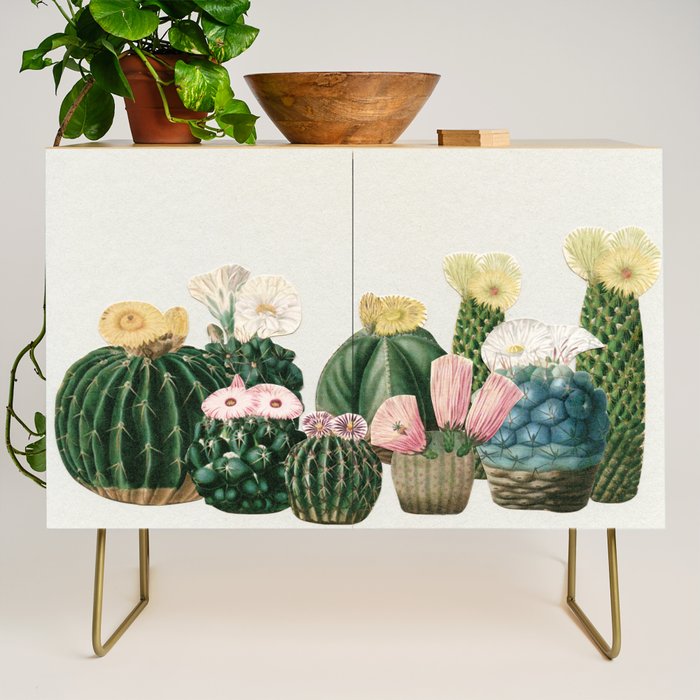 Cactus Garden Credenza Gallery Image 1