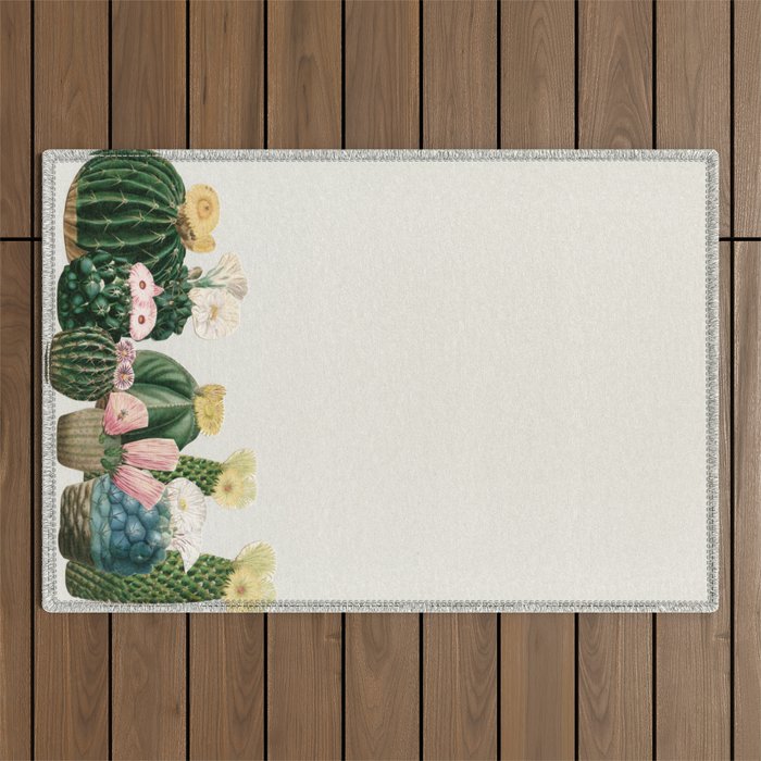 Cactus Garden Outdoor Rug Gallery Image 1