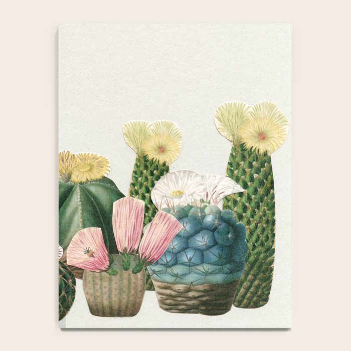 Cactus Garden Notebook Gallery Image 4