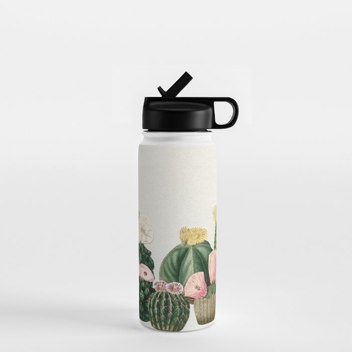 Cactus Garden Water Bottle Gallery Image 1