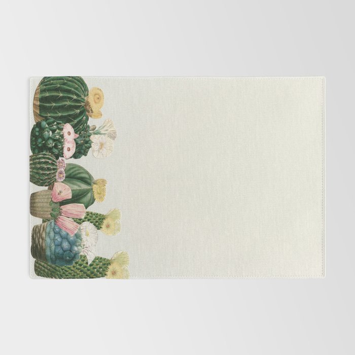 Cactus Garden Rug Gallery Image 2