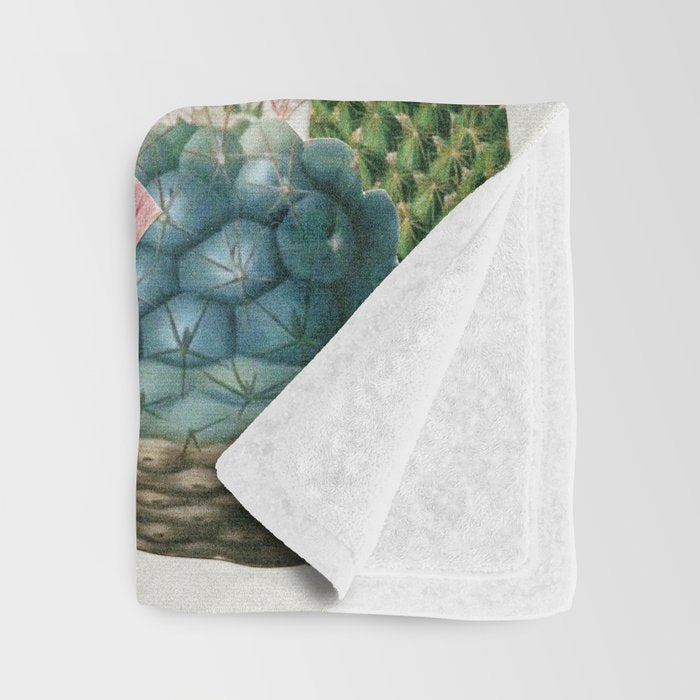 Cactus Garden Throw Blanket Gallery Image 3