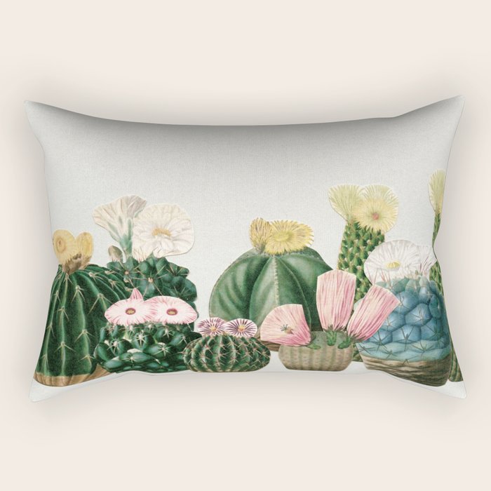 Cactus Garden Rectangular Pillow Gallery Image 1