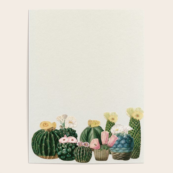 Cactus Garden Poster Gallery Image 4