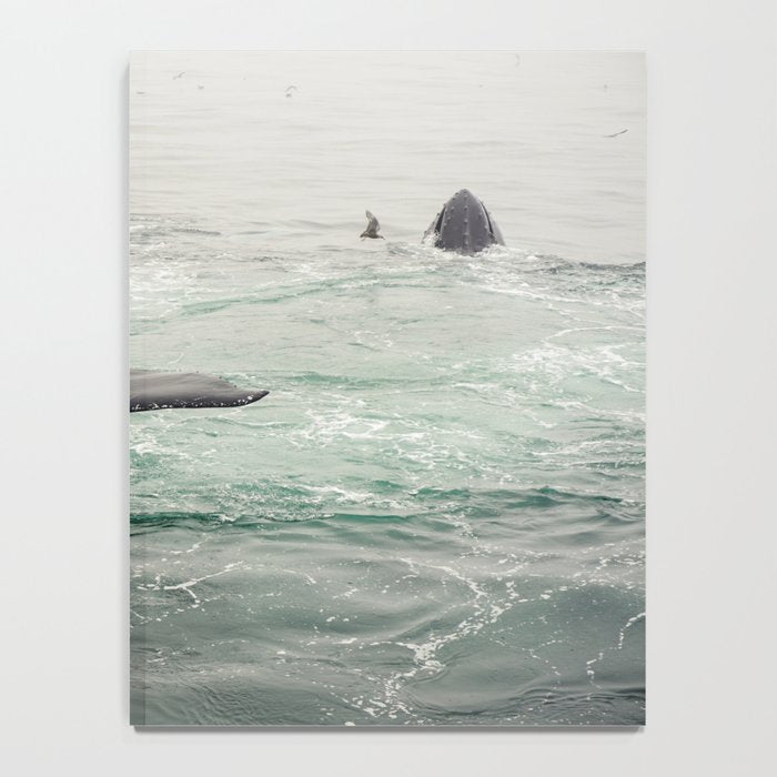 Whale Tail - ocean humpback whale photograph Notebook Gallery Image 4