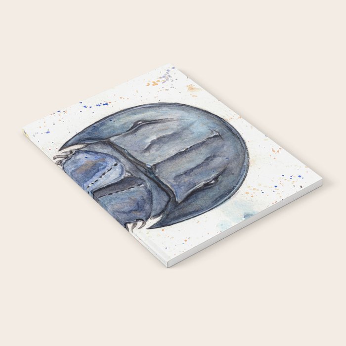 Horseshoe Crab Blues Notebook Gallery Image 1
