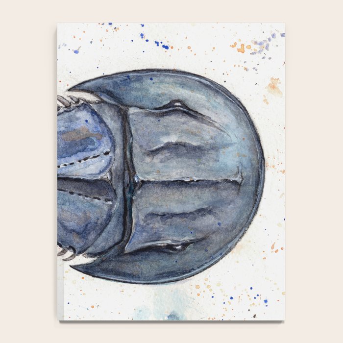 Horseshoe Crab Blues Notebook Gallery Image 4