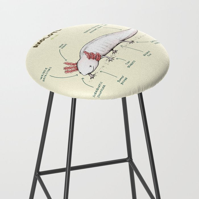 Anatomy of an Axolotl Stool Gallery Image 2