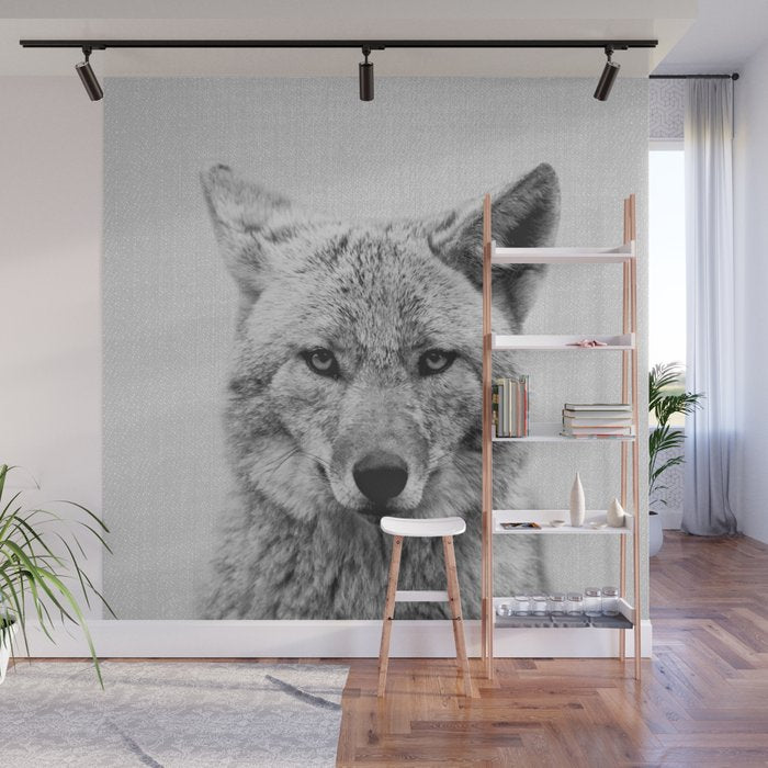 Coyote - Black & White Wall Mural Gallery Image 1