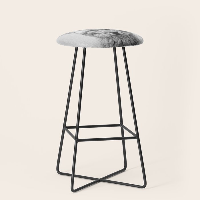Coyote - Black & White Stool Gallery Image 1